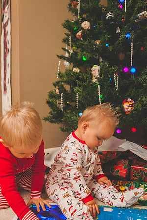 Xmas Tree 2017 (41 of 69)