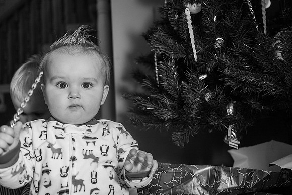 Xmas Tree 2017 (42 of 69)-2