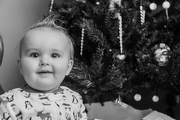 Xmas Tree 2017 (43 of 69)-2