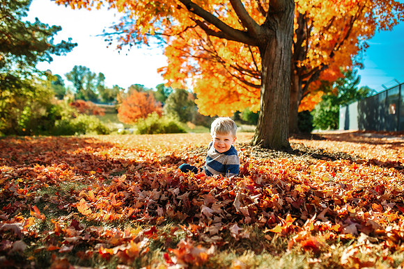 Fall 2024-62