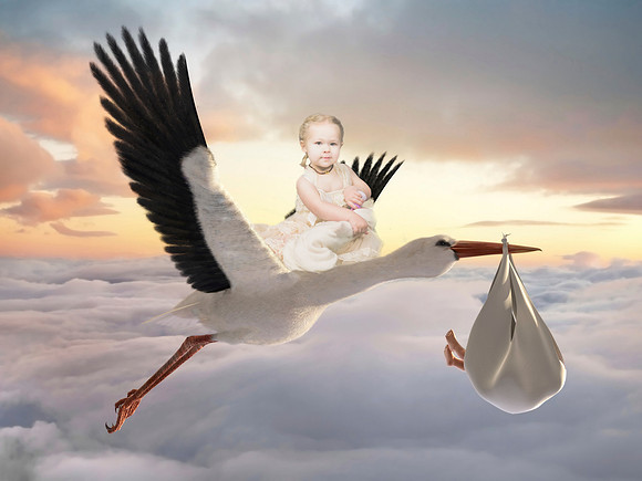 Kayland 2017