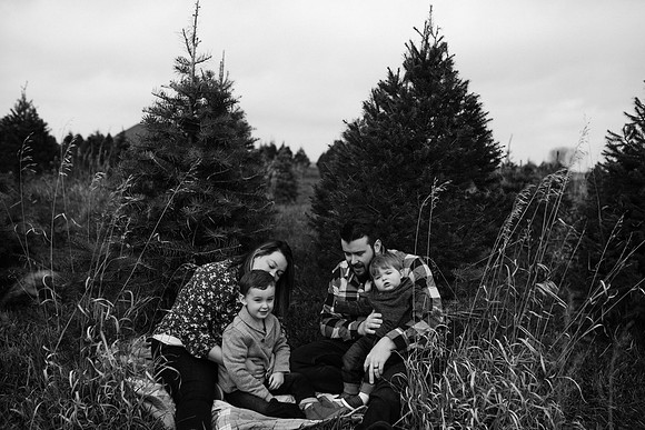 xTree Farm 2020-146