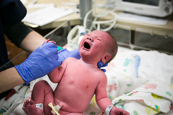Matthew Birth-360