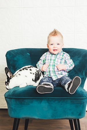 Oliver Bunnies-9
