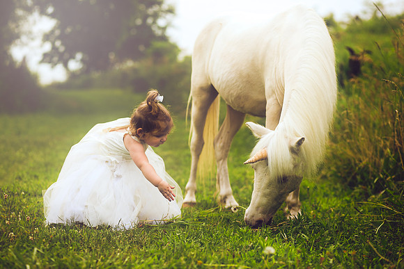 Unicorn-11