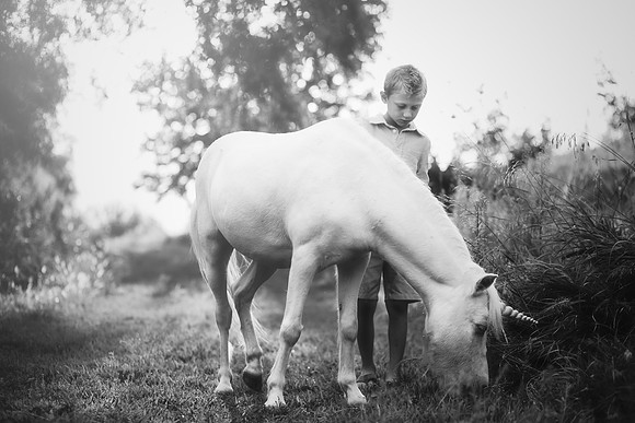 xUnicorn-10