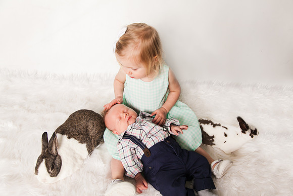 Bunnies 2018-12