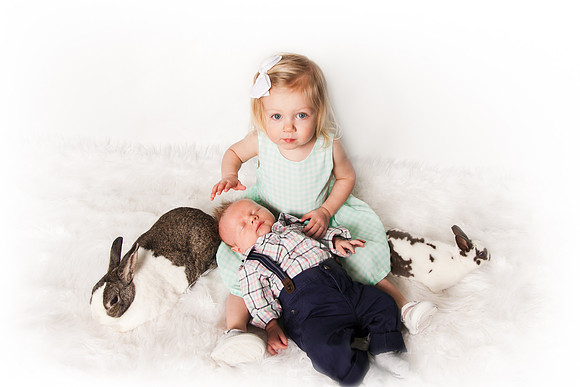 Bunnies 2018-13