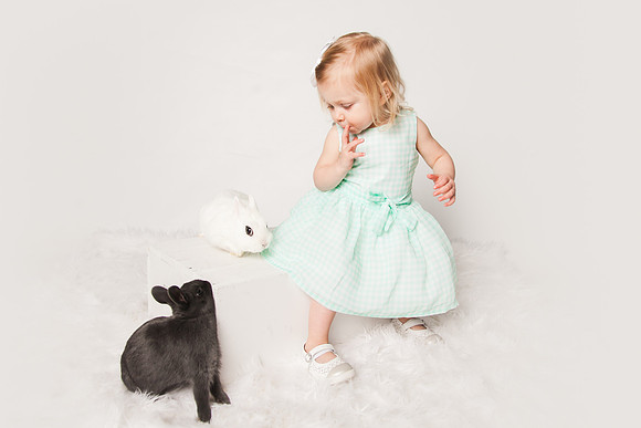 Bunnies 2018-23