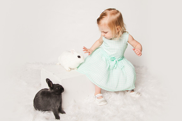 Bunnies 2018-24