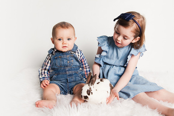 Bunnies 2018-12