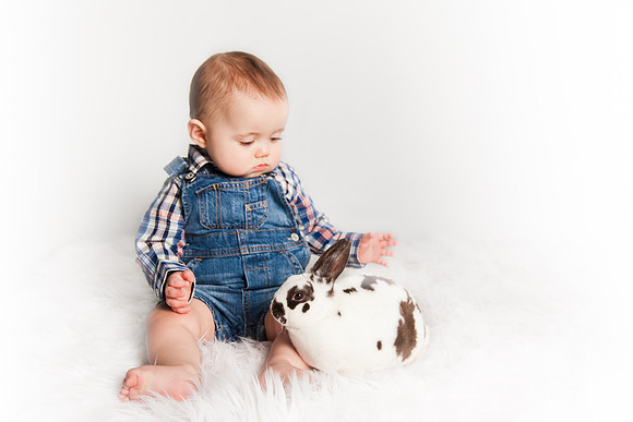 Bunnies 2018-13