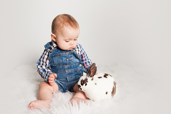 Bunnies 2018-14
