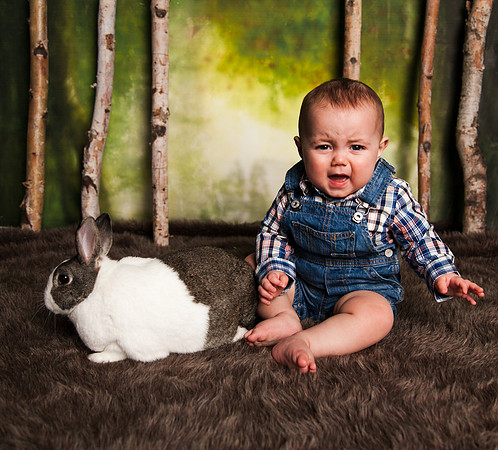 Bunnies 2018-24