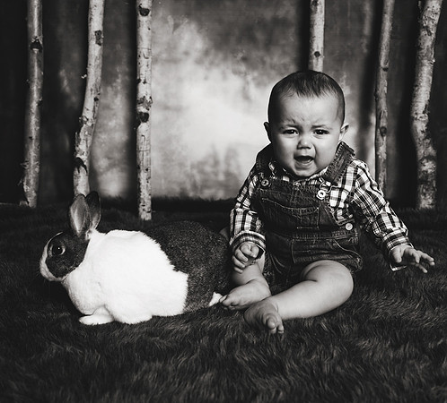 Bunnies 2018-24b&w