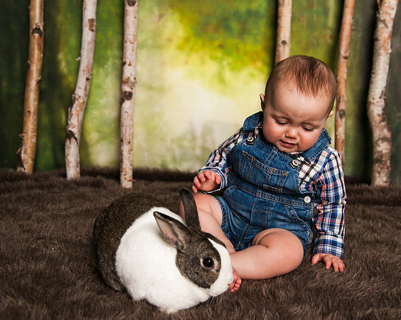 Bunnies 2018-25