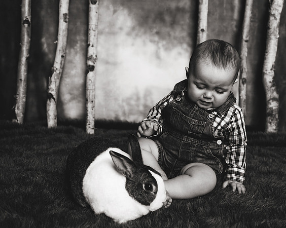Bunnies 2018-25b&w