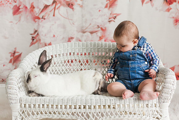 Bunnies 2018-26
