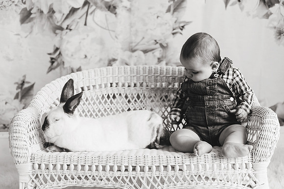 Bunnies 2018-26b&w