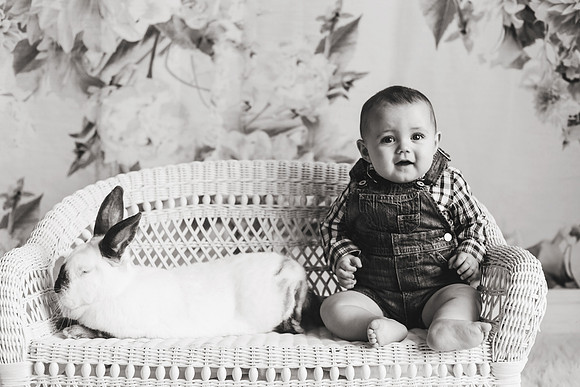Bunnies 2018-27b&w