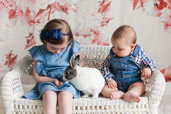Bunnies 2018-28