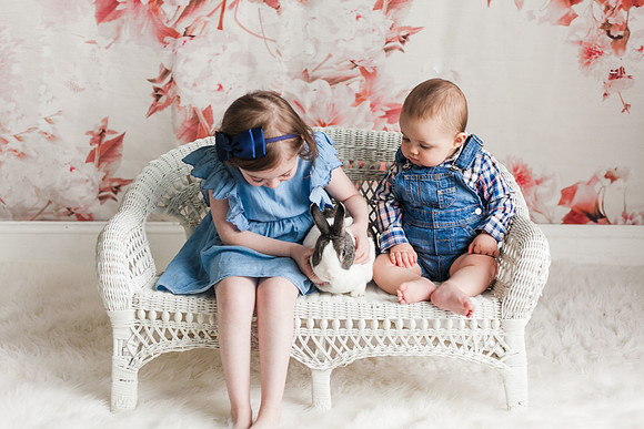 Bunnies 2018-29