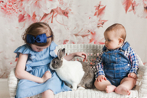 Bunnies 2018-30