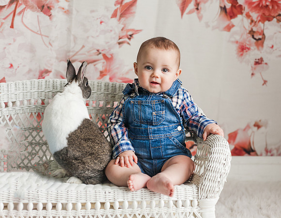 Bunnies 2018-31