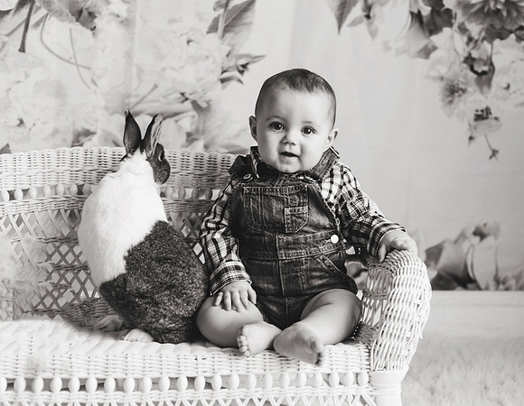 Bunnies 2018-31b&w