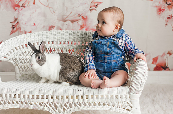 Bunnies 2018-32
