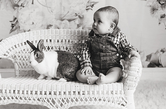 Bunnies 2018-32b&w