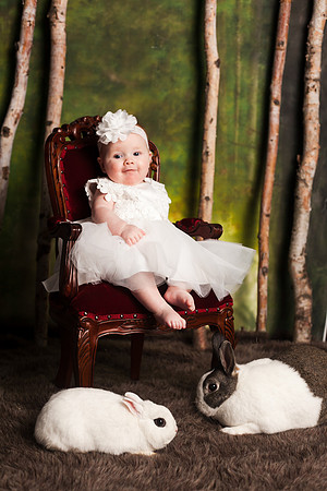 Bunnies 2018-131