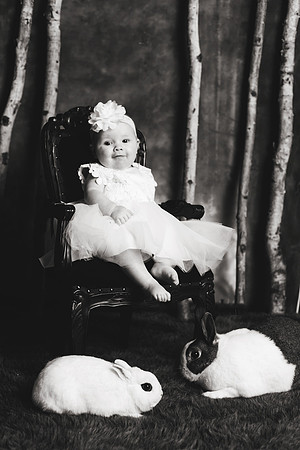 Bunnies 2018-131b&w