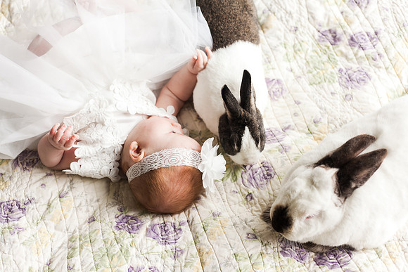 Bunnies 2018-139