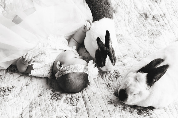 Bunnies 2018-139b&w