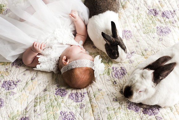 Bunnies 2018-140