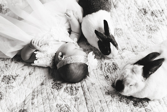 Bunnies 2018-140b&w