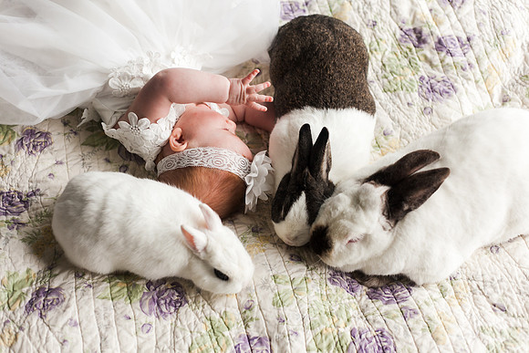 Bunnies 2018-141
