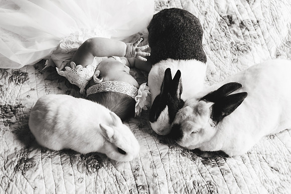 Bunnies 2018-141b&w