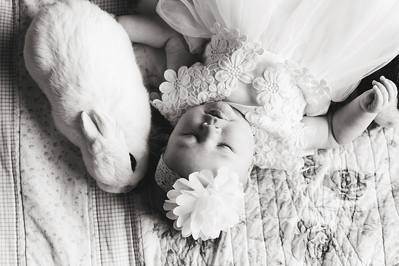 Bunnies 2018-142b&w