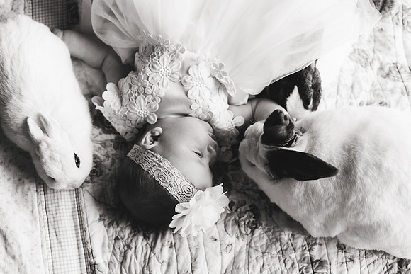 Bunnies 2018-143b&w
