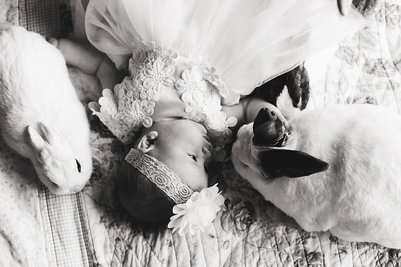 Bunnies 2018-144b&w