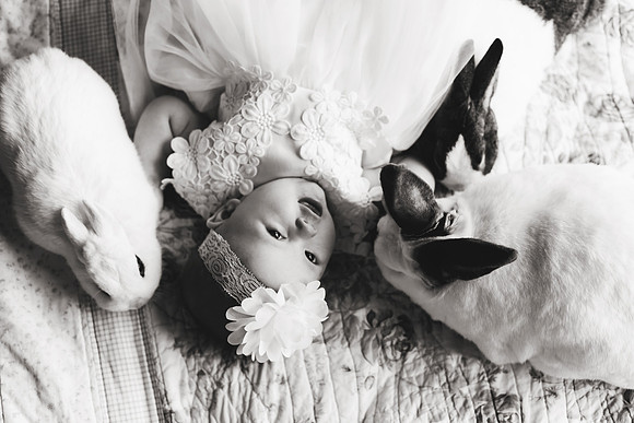 Bunnies 2018-145b&w