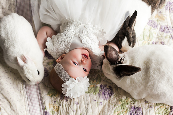 Bunnies 2018-145