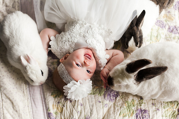 Bunnies 2018-146