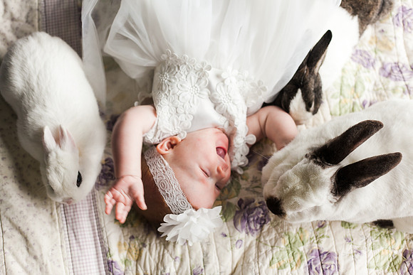 Bunnies 2018-147