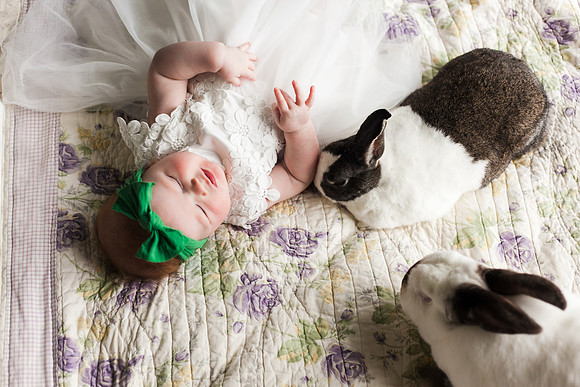 Bunnies 2018-148
