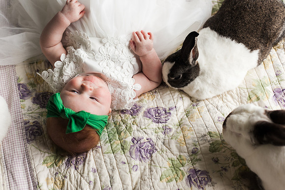 Bunnies 2018-149