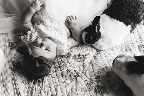 Bunnies 2018-149b&w