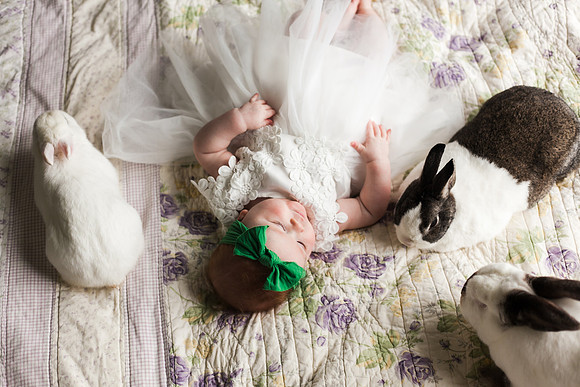 Bunnies 2018-150